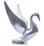 Packard swan_sm_right