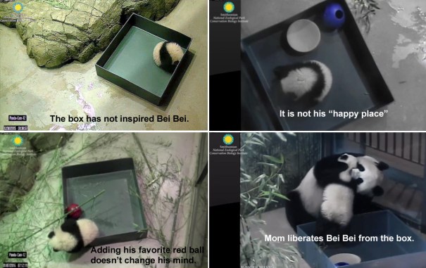 bei box _PS with titles copy