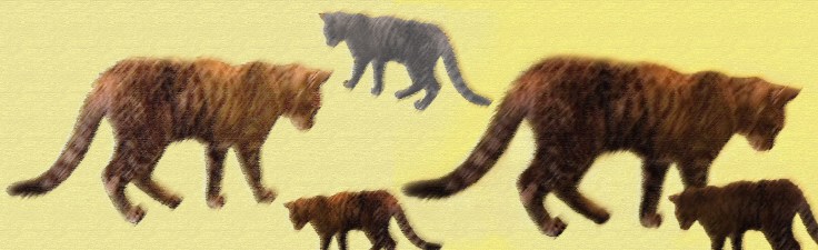 cat cafe_herding_pastels